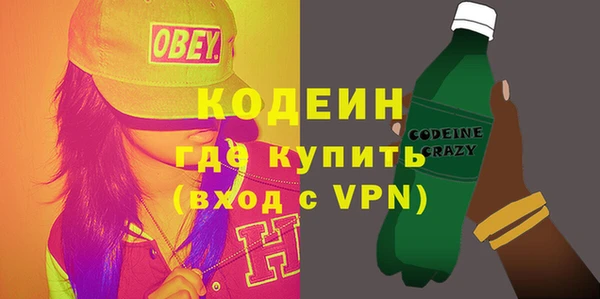 ГАЛЛЮЦИНОГЕННЫЕ ГРИБЫ Новозыбков