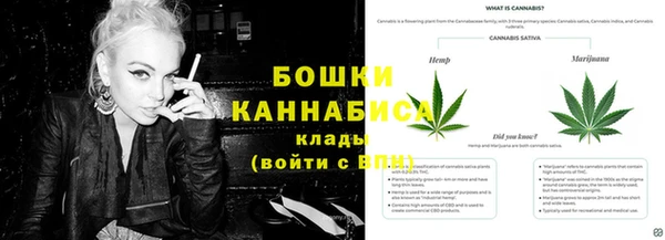 дмт Новокубанск