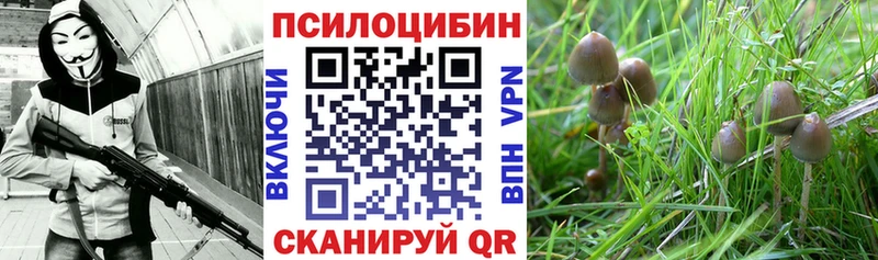 Псилоцибиновые грибы прущие грибы  Купить где  Ликино-Дулёво 